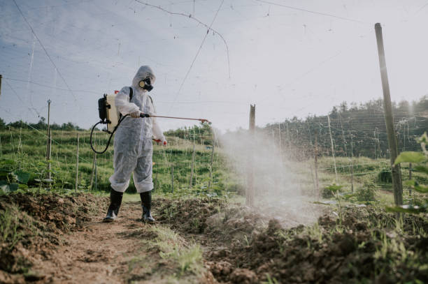 Best Best Pest Control Companies  in Yellville, AR