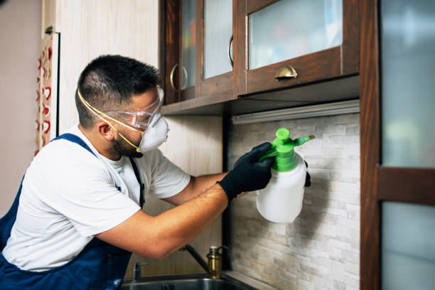 Best Best Pest Control Companies  in Yellville, AR