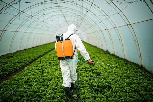 Pest Control Cost in Yellville, AR