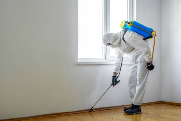 Best Cockroach Control Services  in Yellville, AR