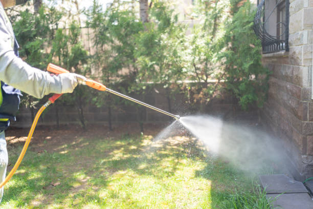 Best Mosquito Control Services  in Yellville, AR