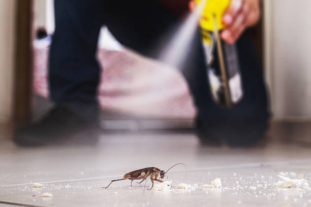 Best Residential Pest Control  in Yellville, AR