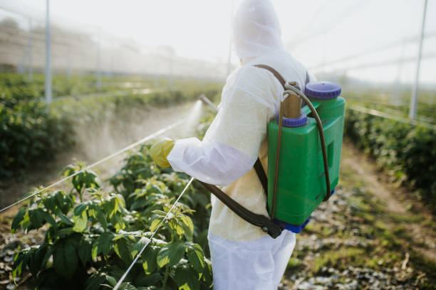 Best Pest Removal Services  in Yellville, AR